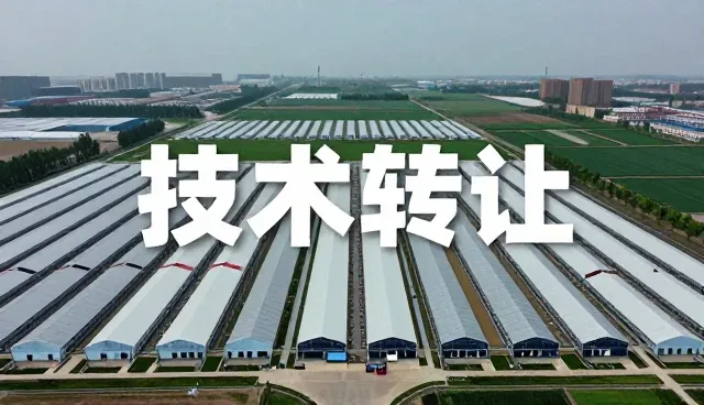 技术驱动成果转化,探索多场景落地路径